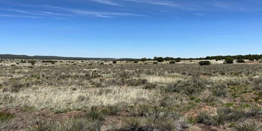 XX Blue Hills Tr, #139, Pie Town, NM 87827