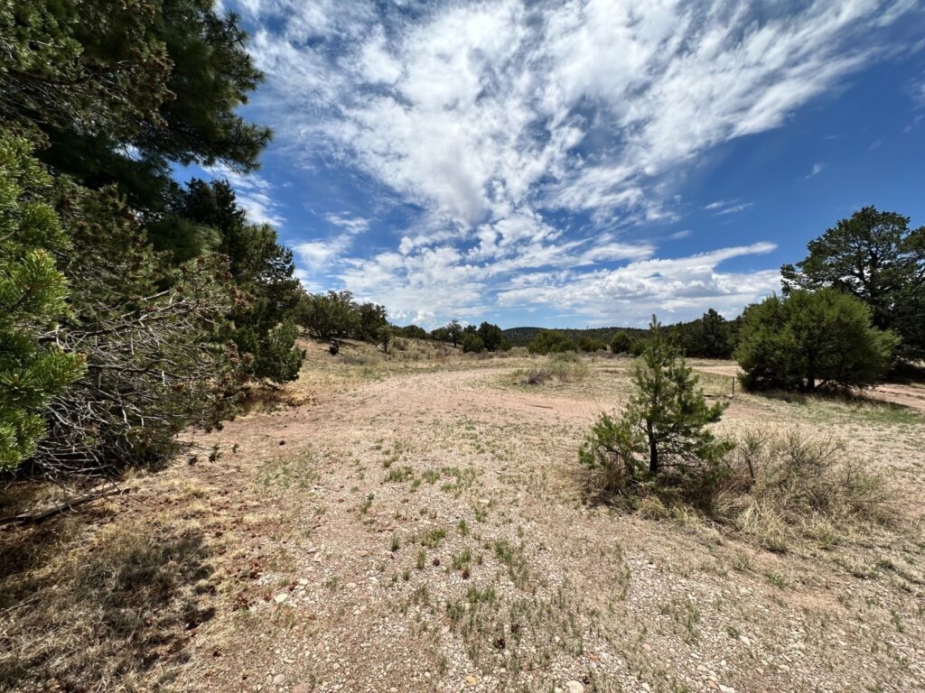 Datil land for sale