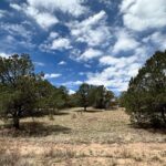 Developable land Datil nm
