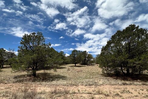 Developable land Datil nm