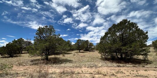 55 Elk Tr, #67, Pie Town, NM 87827