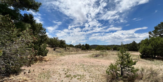 2 Rabbit Cir, Pie Town, NM 87825