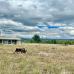 Luna New Mexico homes for sale