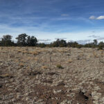 West new mexico ranchland