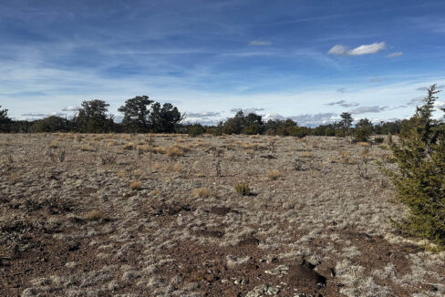 West new mexico ranchland