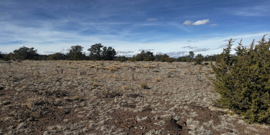 XX Powerline, Quemado, NM 87829