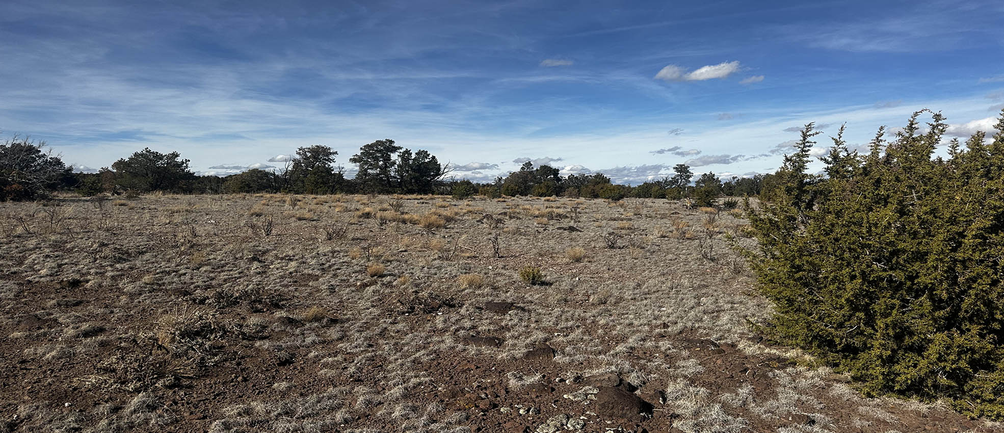 XX Powerline, Quemado, NM 87829