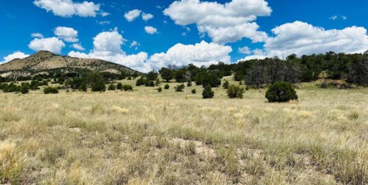 00 Windmill Cir, Datil, NM 87821