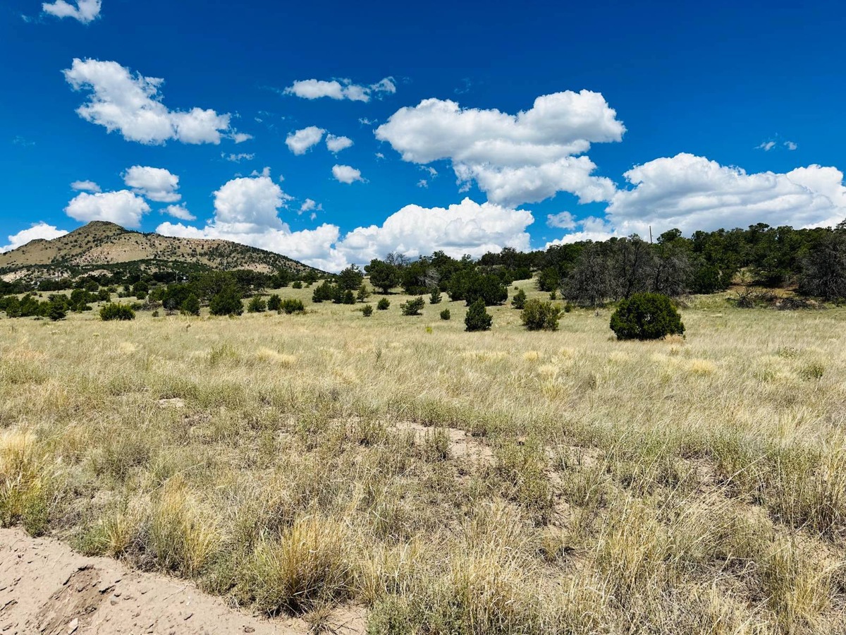 00 Windmill Cir, Datil, NM 87821