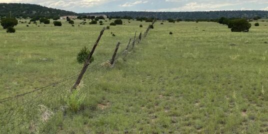 65 Old Ranch Road, Quemado, NM 87829