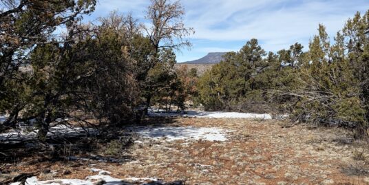 SOLD – Beautiful quiet parcel with a well and electric
