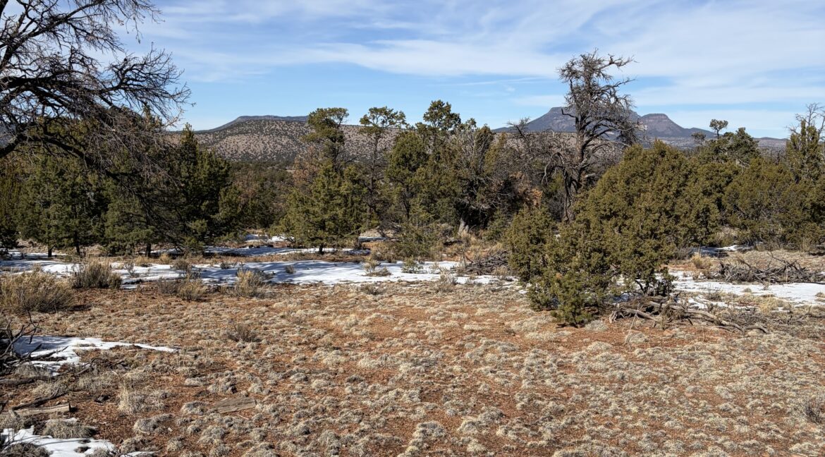 IMG_3125 (1)