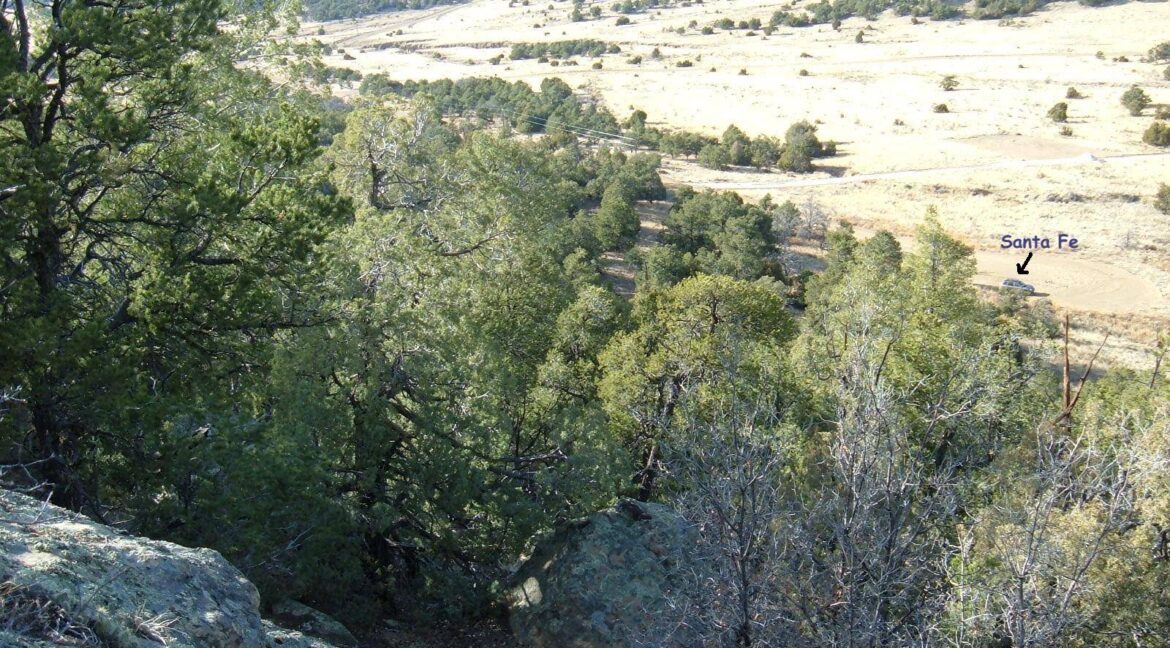 Latigo1