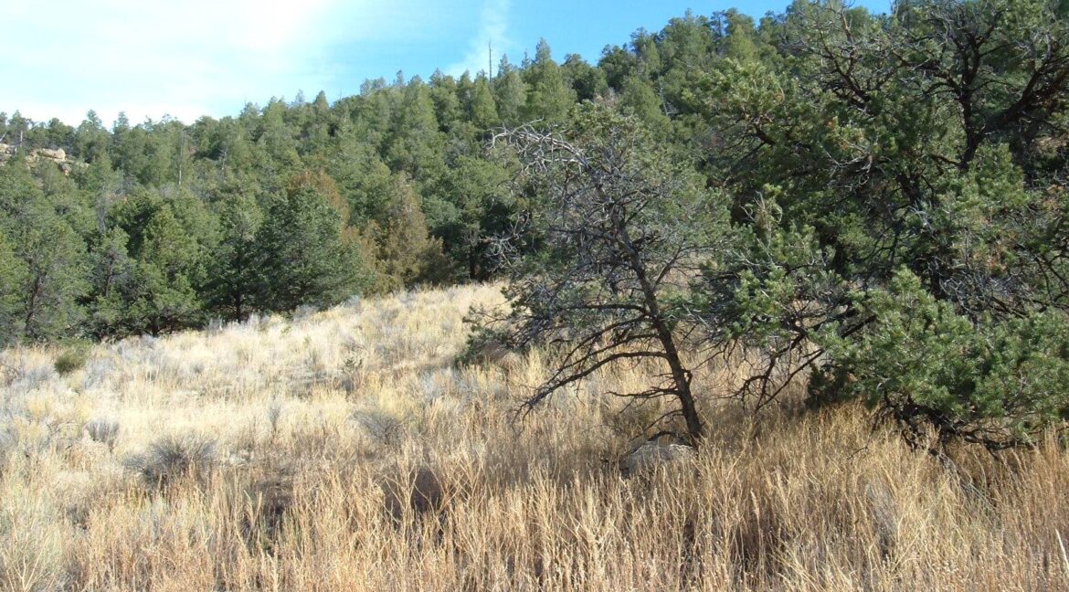 Latigo3