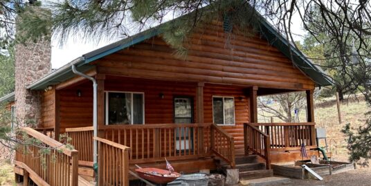 Adorable cabin in the woods