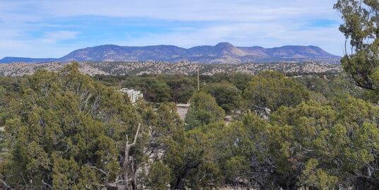 47 Cougar Run Datil NM