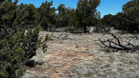 Private lot with easy access