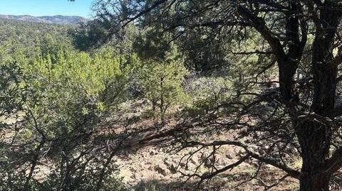 2 Adjacent Lots – #70 and 71 – 2.38 Acres – Homestead Subdivision – Datil, NM