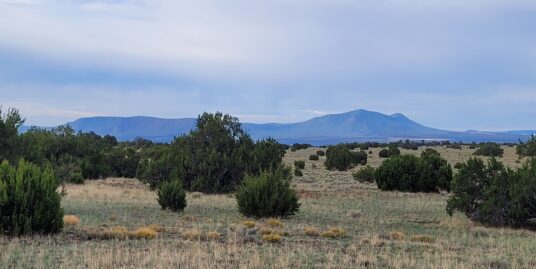 Indian Springs – Quemado – Lot 41, Unit I – Off grid living