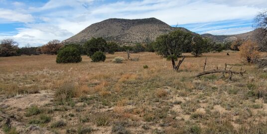 15 Elk Ct (Lot 58, Unit II)- 13+ acres in Wildwood – Datil, NM