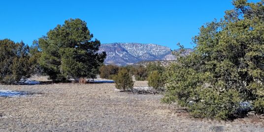 20+ acres in Green’s Gap Ranch, Lot 1 – Beautiful views