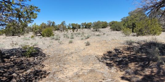 UNDER CONTRACT – 662 State Route 603 – 14.54 Acres North of Pie Town with Electricity on site