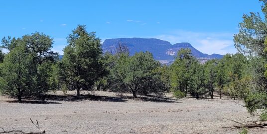 UNDER CONTRACT – 10+ well treed acres in Datil NM