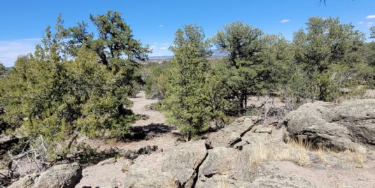 UNDER CONTRACT – Lot 46 – Sugarloaf Mountain – Datil NM