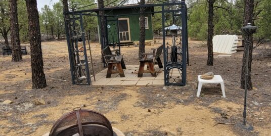 Under Contract – 1017 Wild Horse Ranch Rd – 25+ acres with one room cabin
