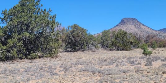10.41 Acres Lots 47 and 48 – Sugarloaf Mountain – Datil NM
