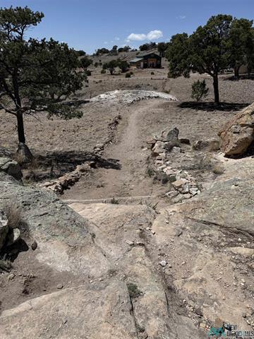 Bear Track19