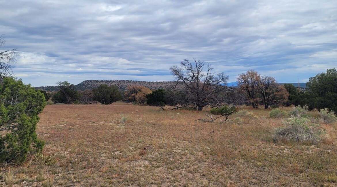Lot 58 Looking East