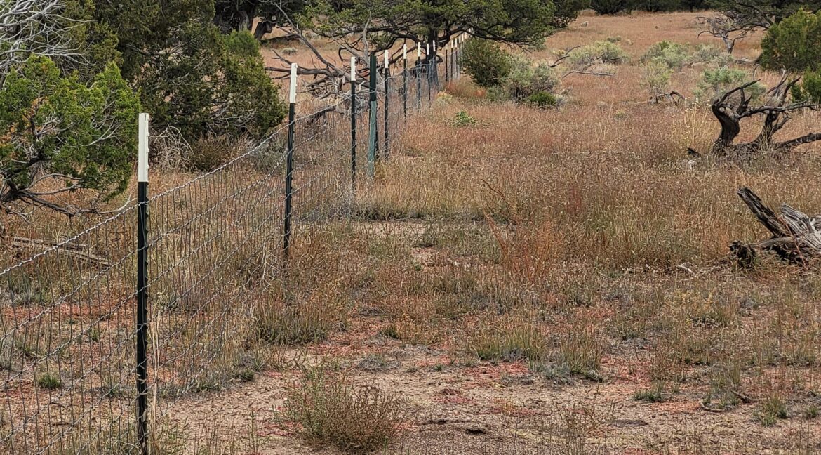 Lot 58 - North border fence looking NE