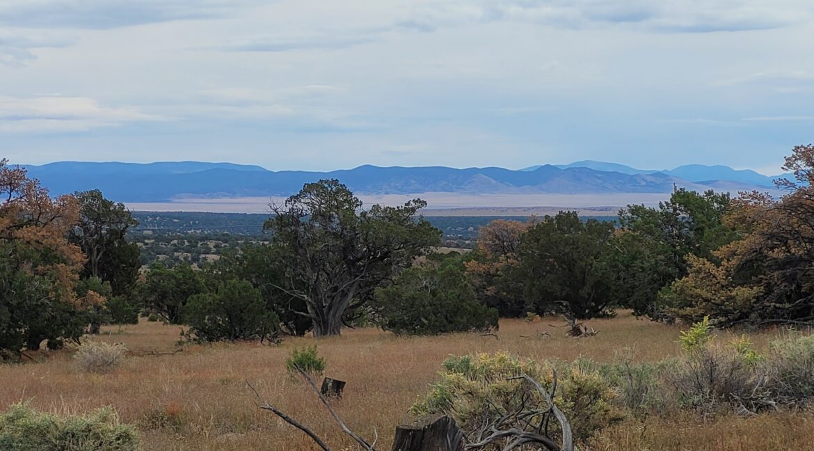 Lot 58 - SE