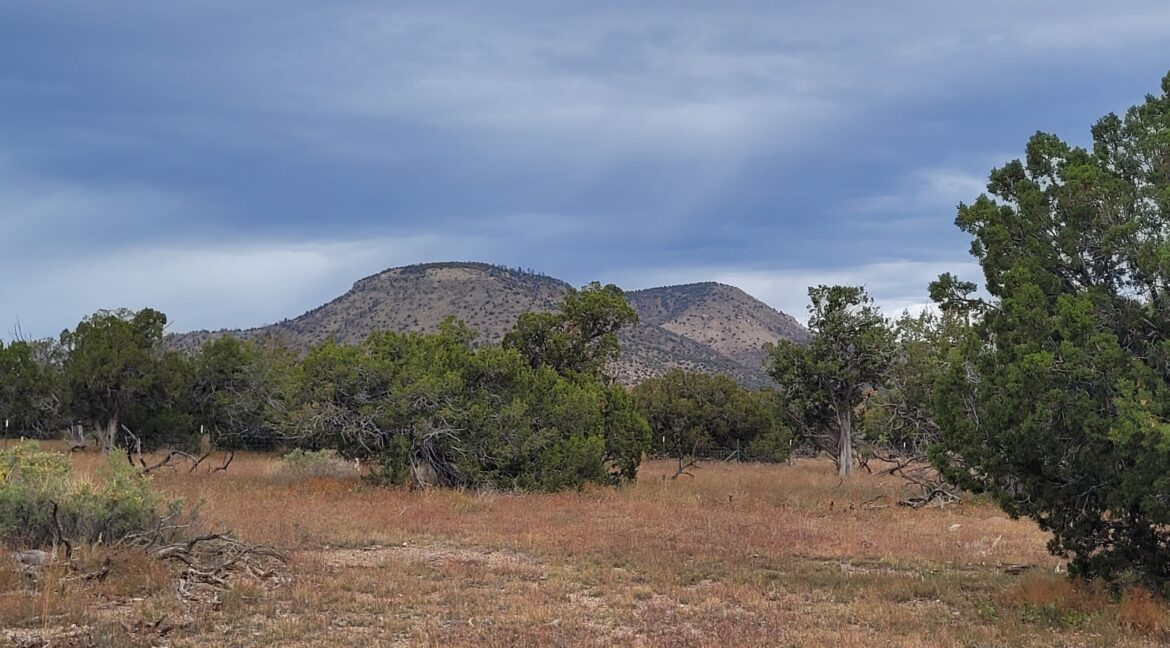 Lot 58 looking NNW