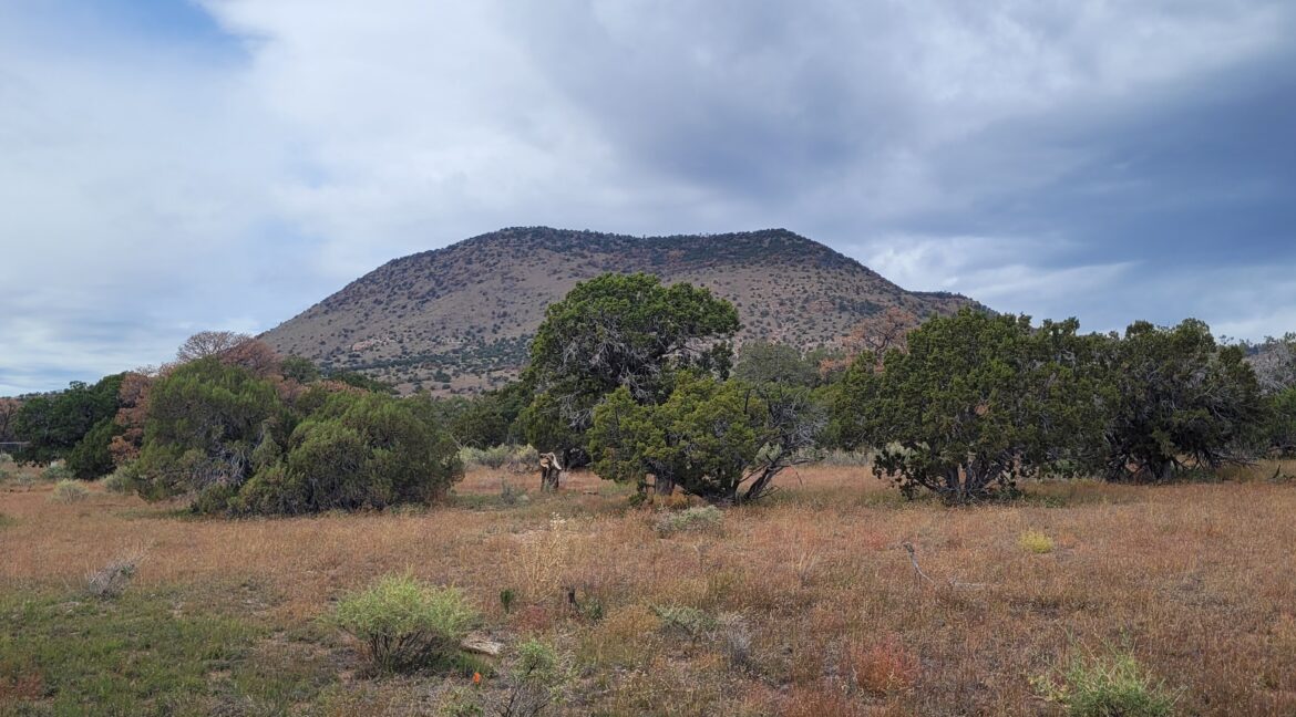Lot 58 looking West