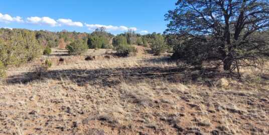 26+ acres vacant land in Wildwood Subdivision – Datil, NM – Motivated Seller