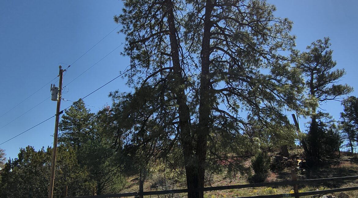 IMG_20261014_122543582_HDR