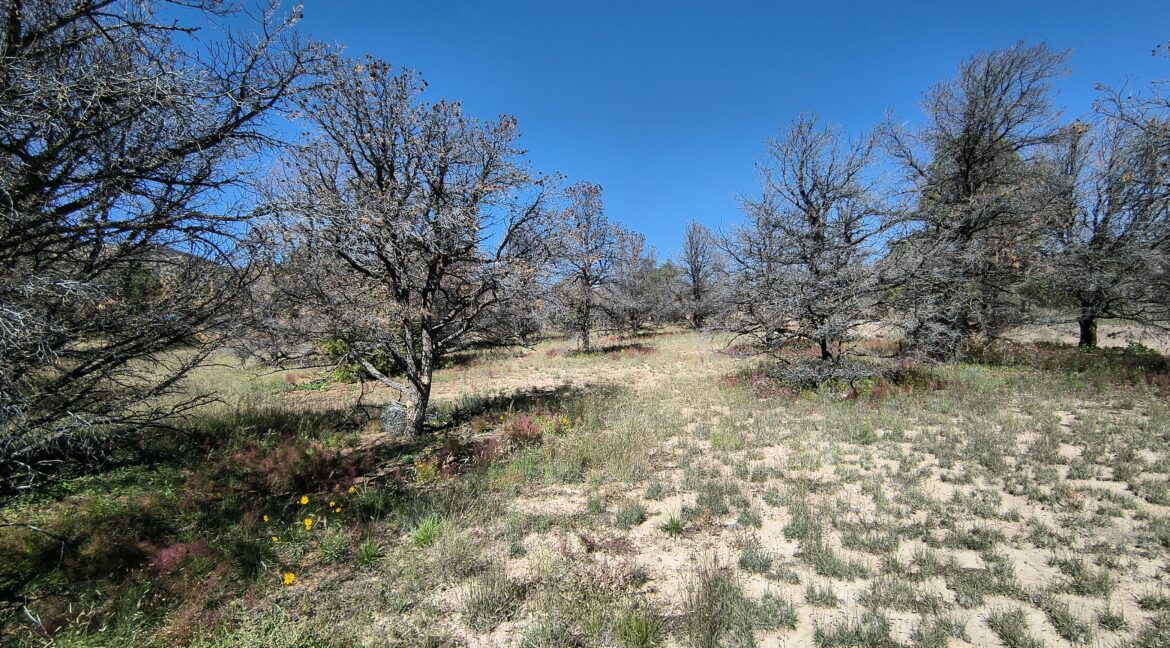 IMG_20261015_122221828_HDR