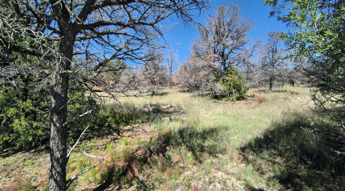IMG_20261015_122244012_HDR