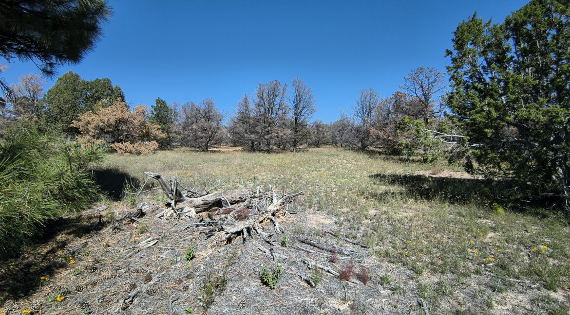 IMG_20261015_122308684_HDR