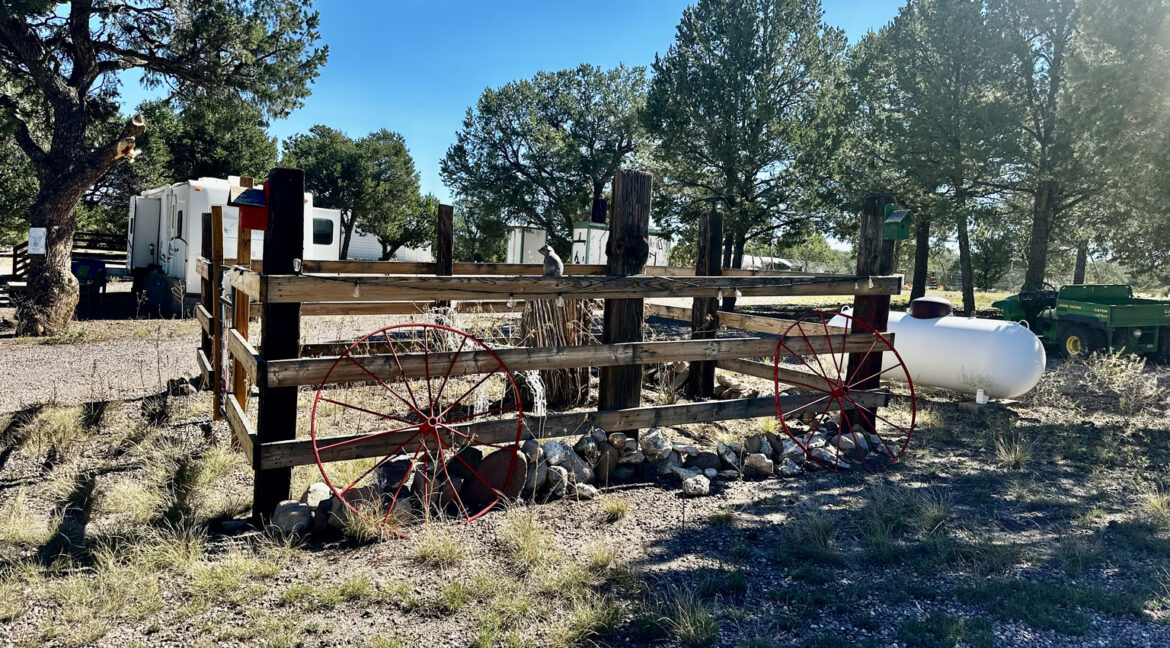 ranch31