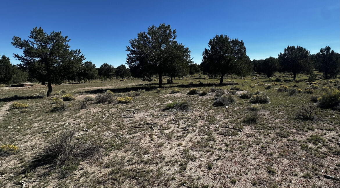 ranch41