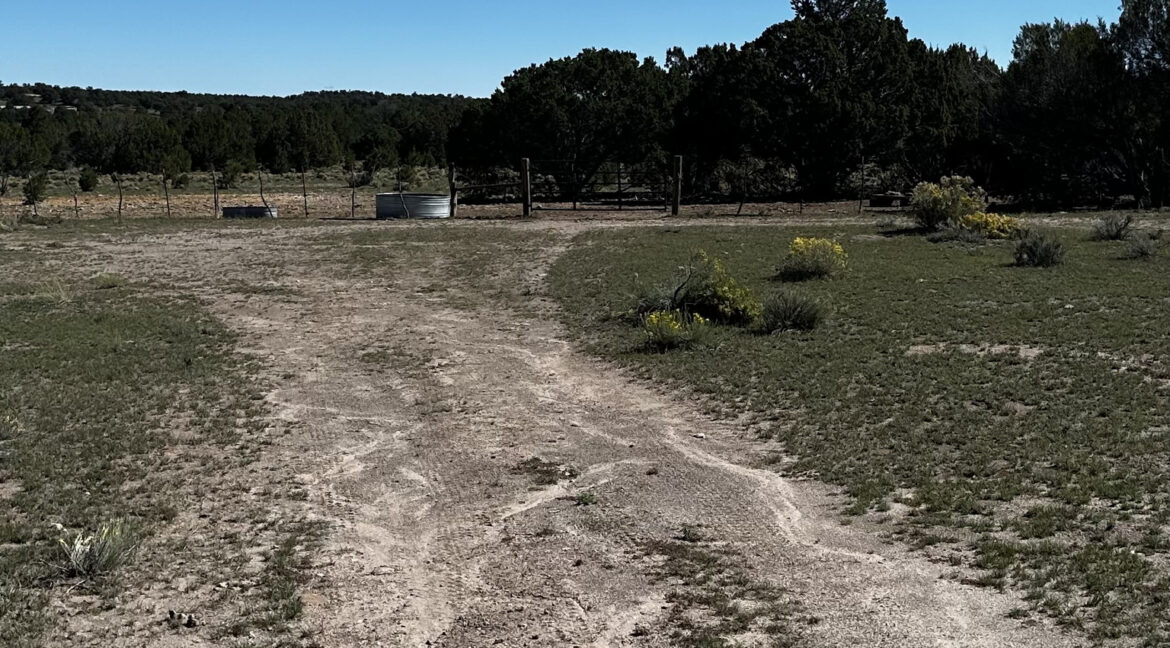 ranch43