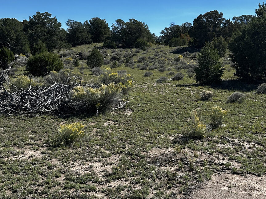 ranch46